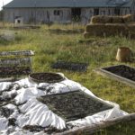 Dance on Land, inkGround, Shinichi Iova-Koga, Dana Iova-Koga